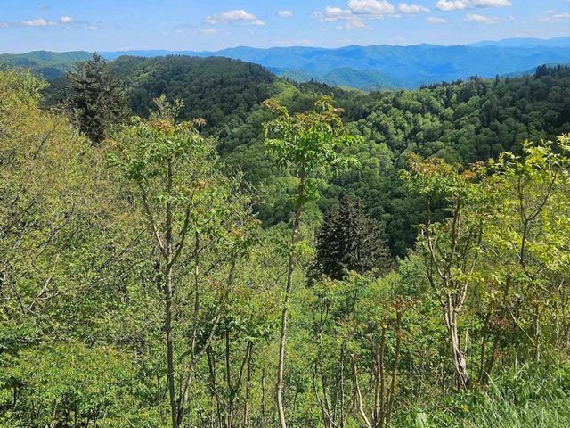 Great Smoky Mountains National Park
