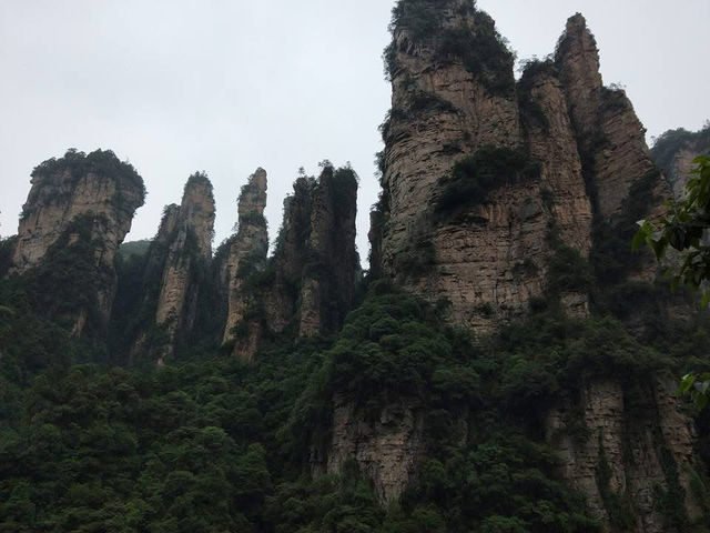 湖南長沙之旅 鳳凰古城 張家界