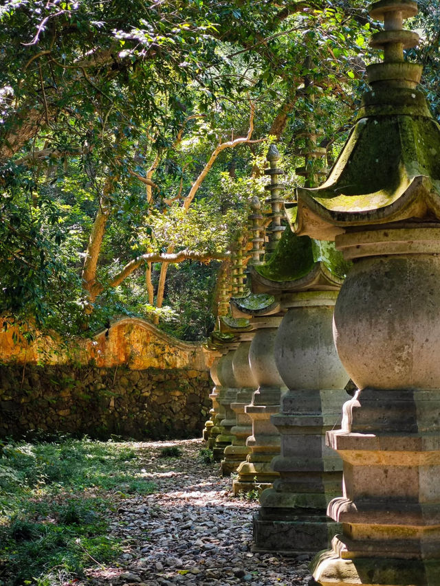 Explore Guoqing Temple on Tiantai Mountain – A Hidden Summer Getaway 🌿☀️