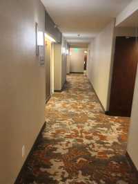 Houston Marriott Medical Center / Museum District