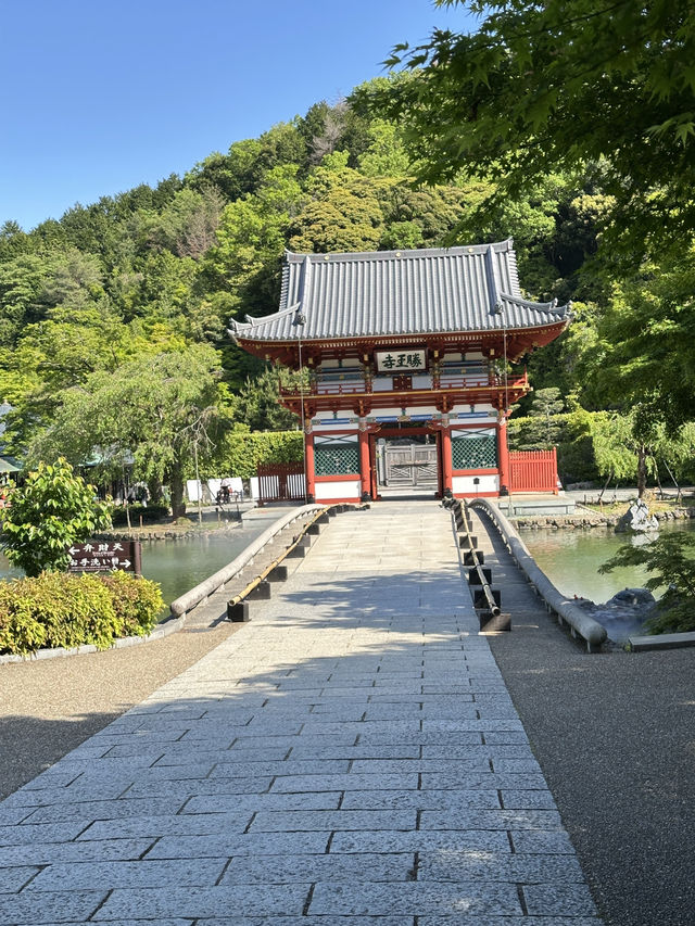 วัดดารุมะ Katsuoji temple