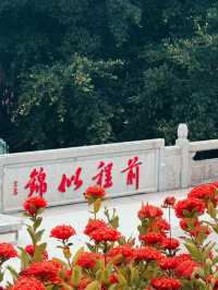 Qingyun Mountain, Lufeng, Shanwei | A Soul-Cleansing Journey ✨