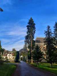 Lainzer Tiergarten, Vienna: A Forest Escape with Wild Charm 