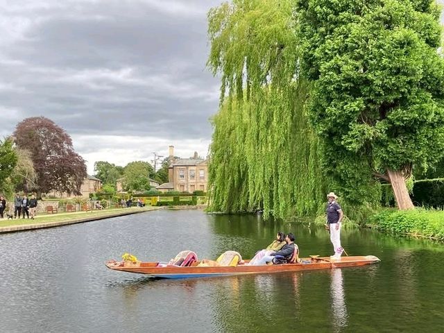 A beautiful park with stunning nature, this place is really well looked after, very clean and full of greenery