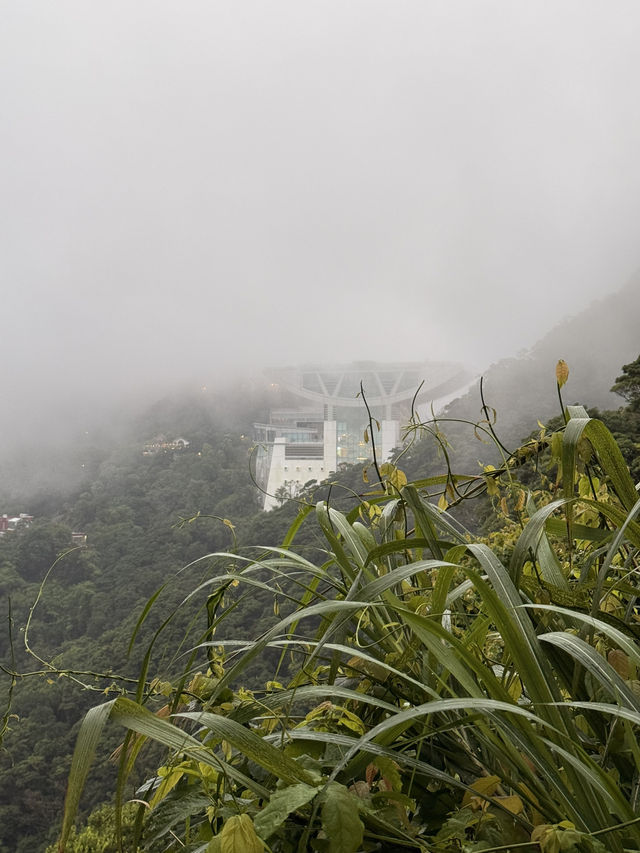 A sunrise trip with Garden View hotel