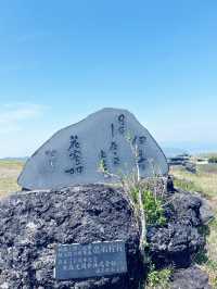 日本伊豆島必去抹茶綠大室山和必吃海鮮丼鰻魚飯