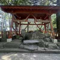 【おんせん県おおいた】潮風を感じて参拝【八幡奈多宮】こんなロケーション珍しいのでは？