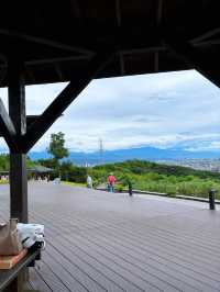 🌄虎頭山環保公園 藏在桃園半山腰的城市綠洲 從森林走到天空，這座免費觀景公園美得太超現實！