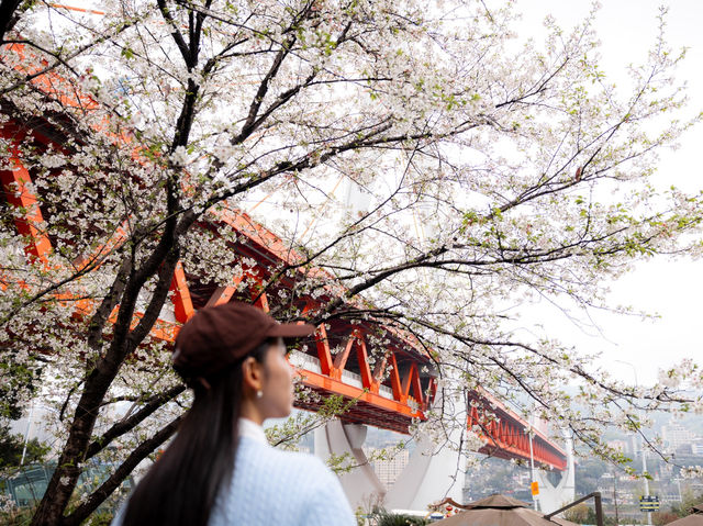 รวมมุมถ่าย 5 สะพานที่ฉงชิ่ง