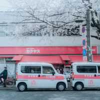 Nakano Sakura Japan