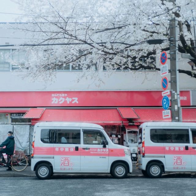 Nakano Sakura Japan