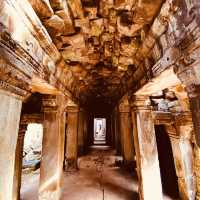 🌿 The Enchanted Ruins: Solo Trip to Preah Khan Temple! 🏛️