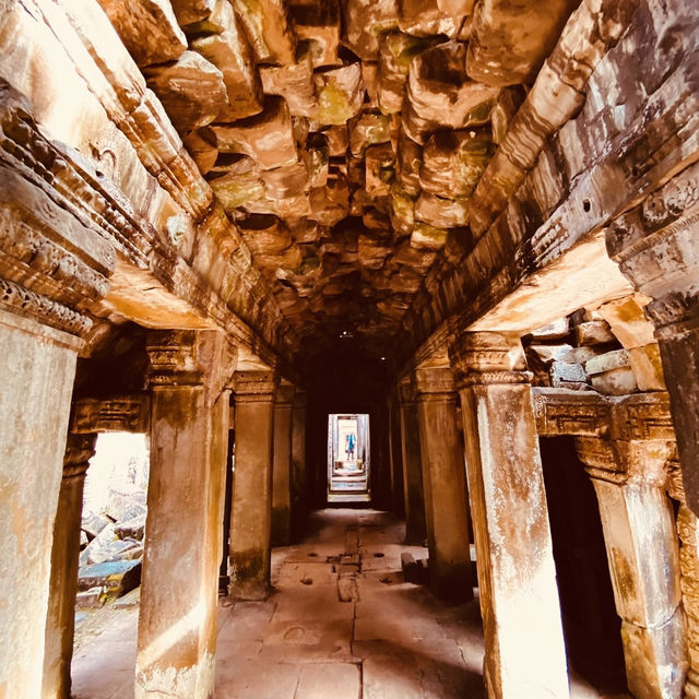 🌿 The Enchanted Ruins: Solo Trip to Preah Khan Temple! 🏛️