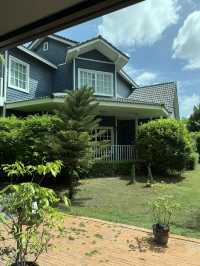 A Life cafe & gallery ร่มรื่นกับเครื่องดื่มอร่อยๆ