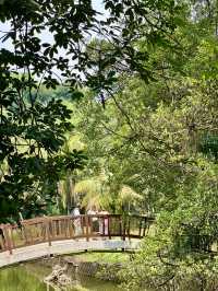 🌿 Herb & Spice Garden – A Fragrant Stroll Through Nature’s Pharmacy