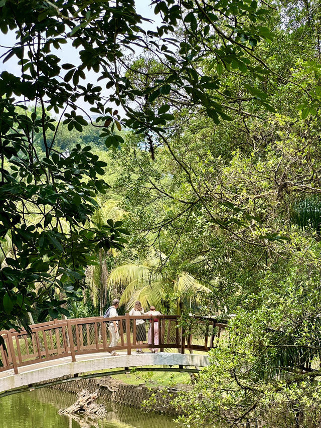 🌿 Herb & Spice Garden – A Fragrant Stroll Through Nature’s Pharmacy