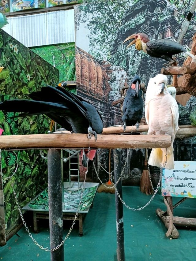 ชมนกหายากกันที่ Monster Aquarium 