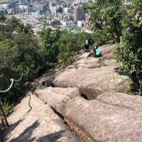 臺北·金面山⛰️台北市中心的驚艷稜線小百岳