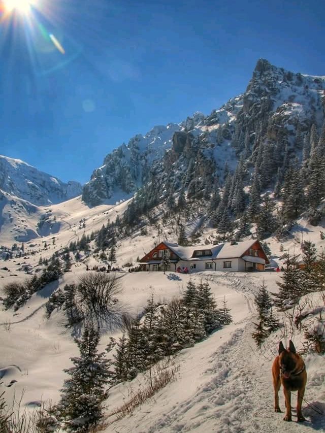 Bucegi Mountain