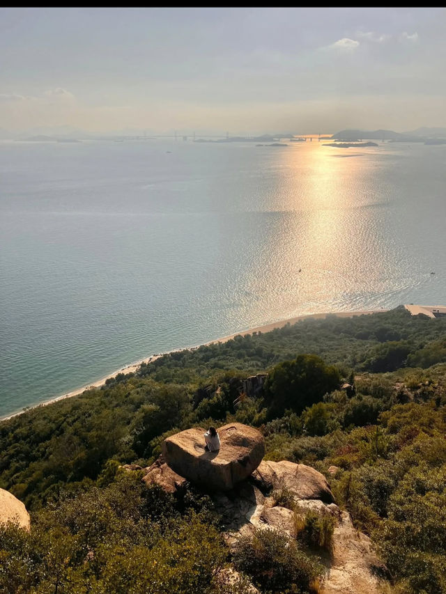 🌿【牛窓オリーブ園】“日本のエーゲ海”で過ごす、癒しと絶景のオリーブ旅