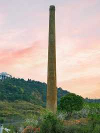 🌸Wenzhou Hidden Gem: Cherry Blossom Skywalk in Qinghe Park