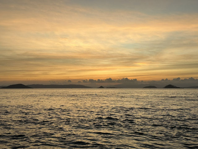 🌅日落與萬蝠齊飛——科摩多島最壯觀的魔幻時刻