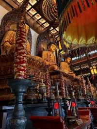 Peaceful Moments and Beautiful Statues at Jade Buddha Temple Shanghai