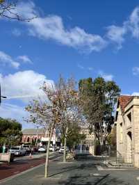 Timeless Beauty- Fremantle Street 