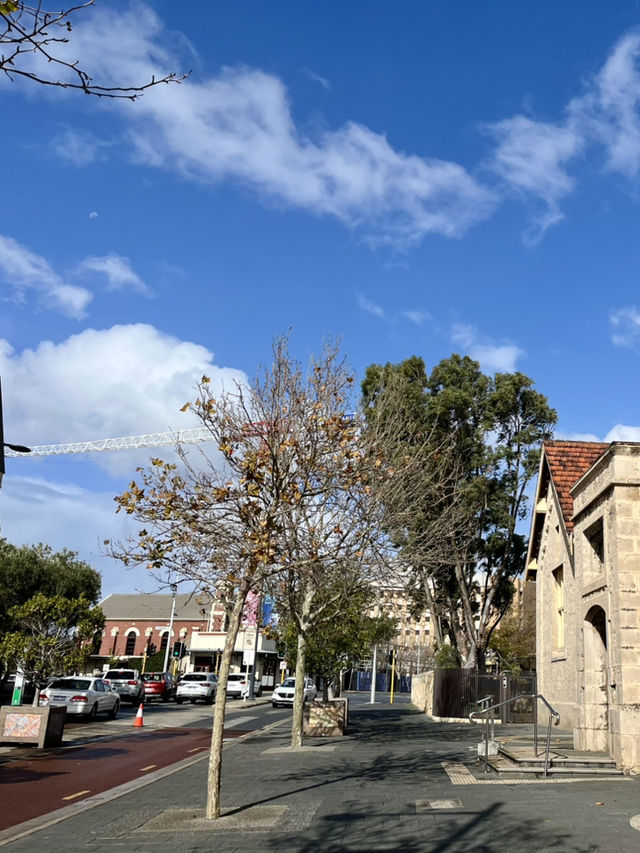 Timeless Beauty- Fremantle Street 