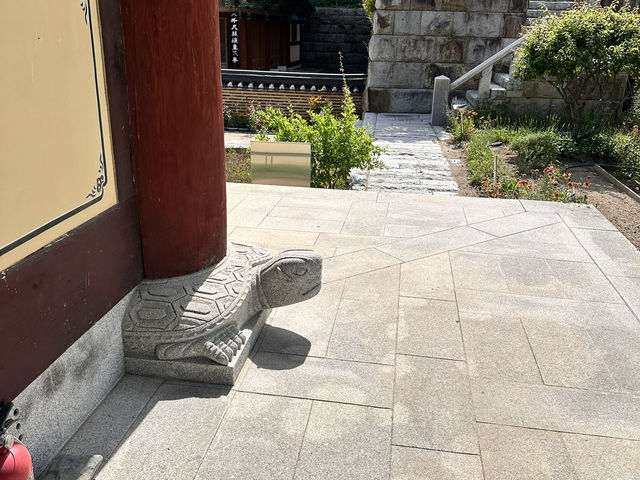 大邱🇰🇷｜大邱秘境古剎！符仁寺千年歷史與神秘四頭烏龜你看過嗎？🐢✨