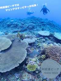 【渡嘉敷島】那覇から約1時間で気軽に行ける離島へ！🏝️
