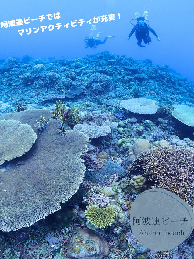 【渡嘉敷島】那覇から約1時間で気軽に行ける離島へ！🏝️