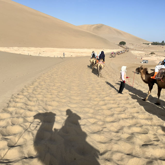 A Desert Park Like No Other 