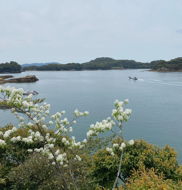 大房岬海岸園地—全景視野