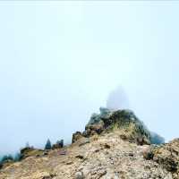 Reach New Heights at Pico de las Nieves