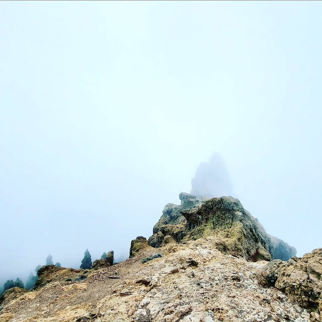 Reach New Heights at Pico de las Nieves Reach New Heights at Pico de las Nieves