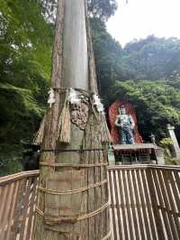 Nanzoin Temple 