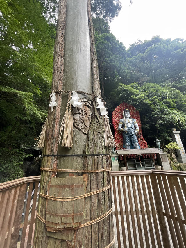 Nanzoin Temple 