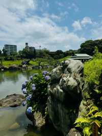【清澄庭院｜東京深巷裡的幽靜庭園】
