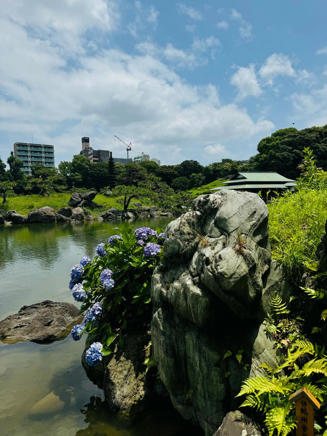 【清澄庭院｜東京深巷裡的幽靜庭園】