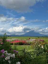 #Lake Hill Farm