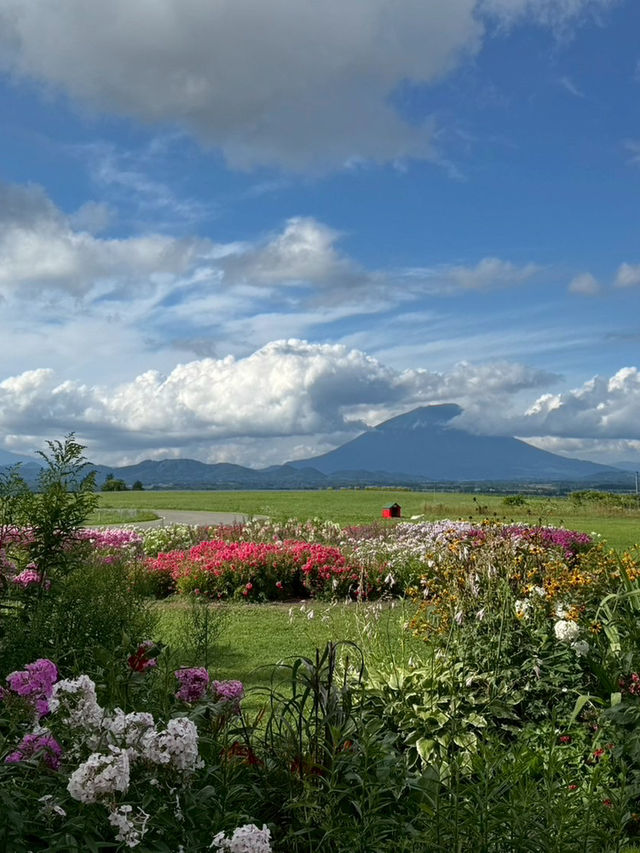 #Lake Hill Farm