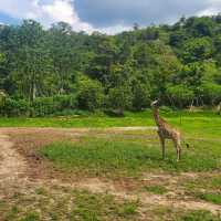 China-Qingyuan 中國-清遠 3 Days 2 Nights (3D2N)