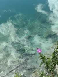 【クロアチア】プリトヴィツェ湖群国立公園