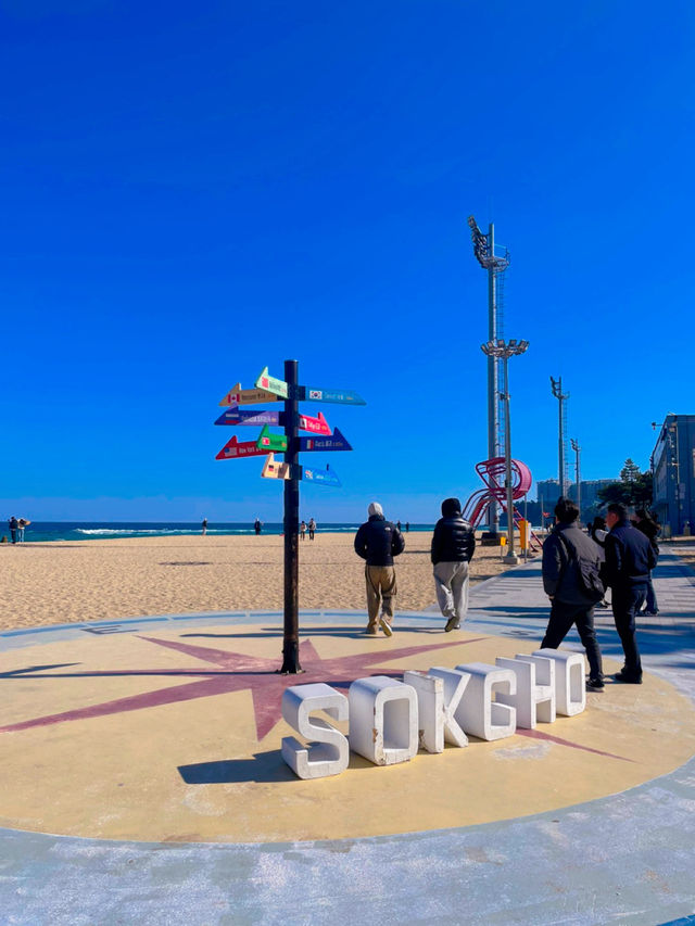 외옹치 바다향기로🌊 