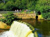 Reddish Vale Country Park – Nature on the Edge of the City