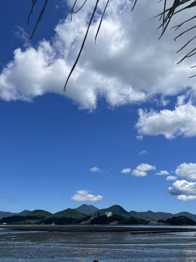 【コジェ島 巨済島】 韓国カフェ 南国みたいなカフェ