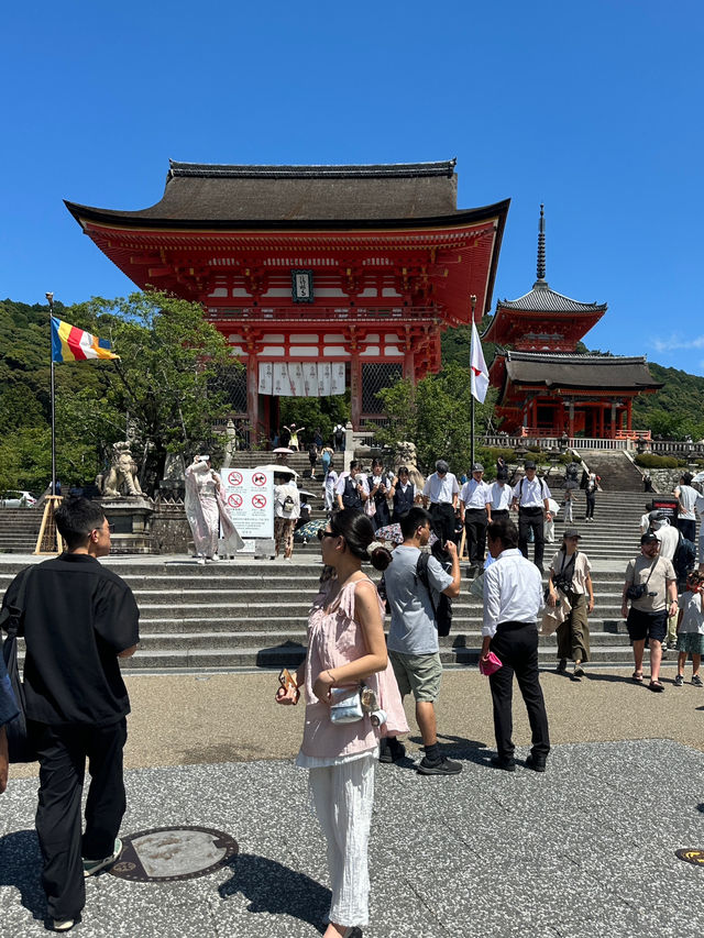 일본에서 가장 유명한 사찰 🏯