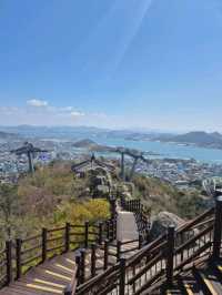 ⛰️ 목포 유달산 등산