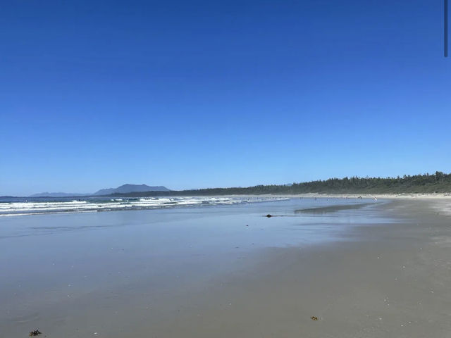 Pacific Rim National Park Reserve 🌊🌲